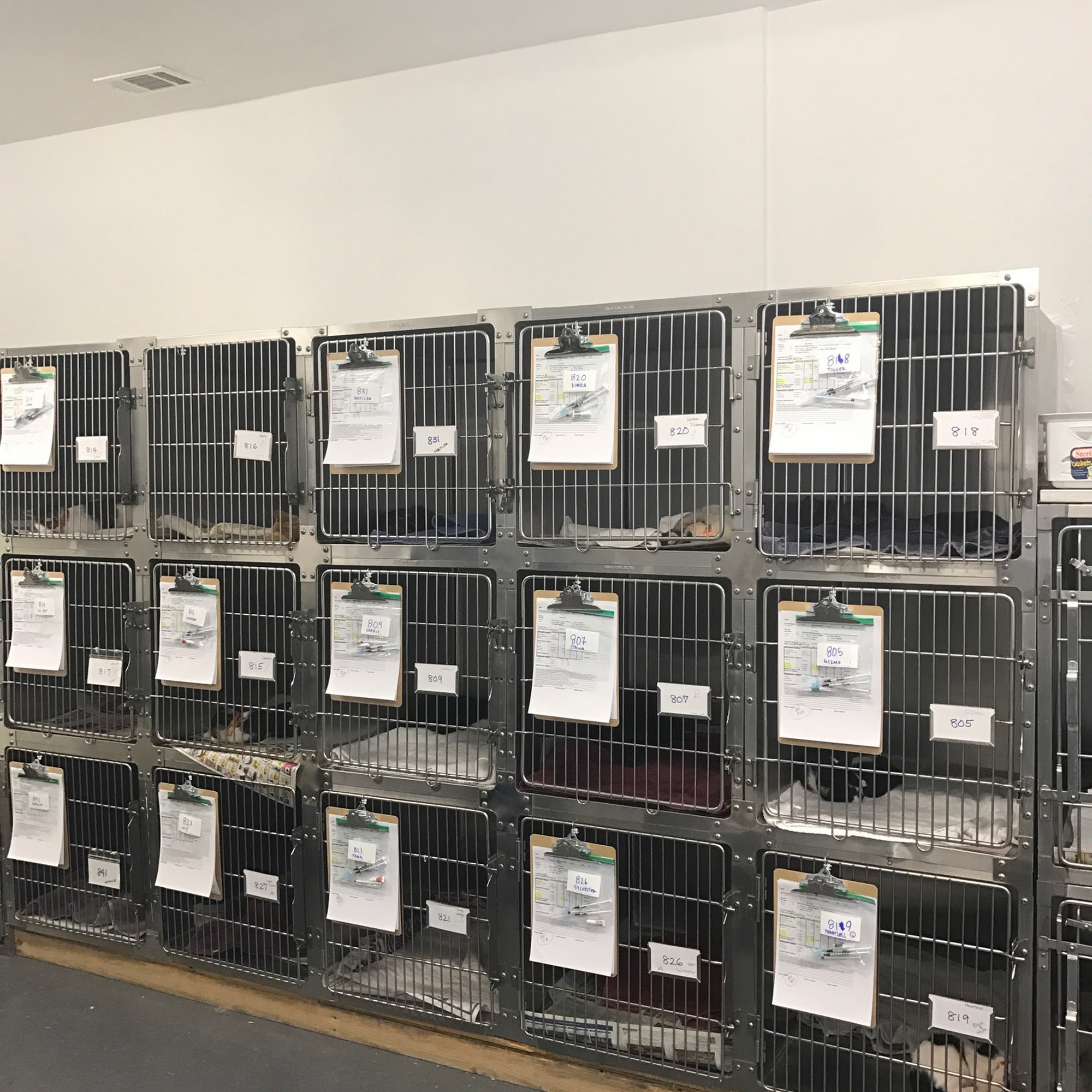 SPCA of Lake County Kelseyville