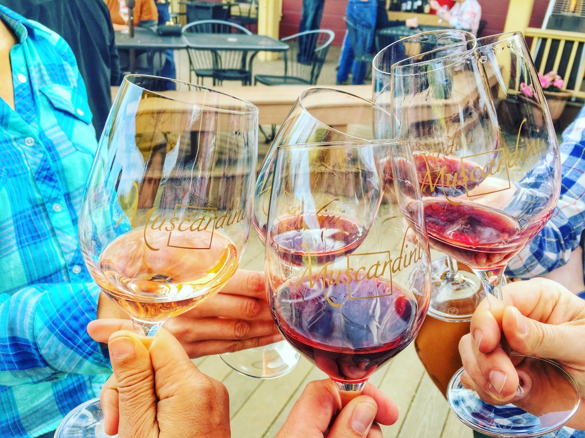 Muscardini Cellars Kenwood