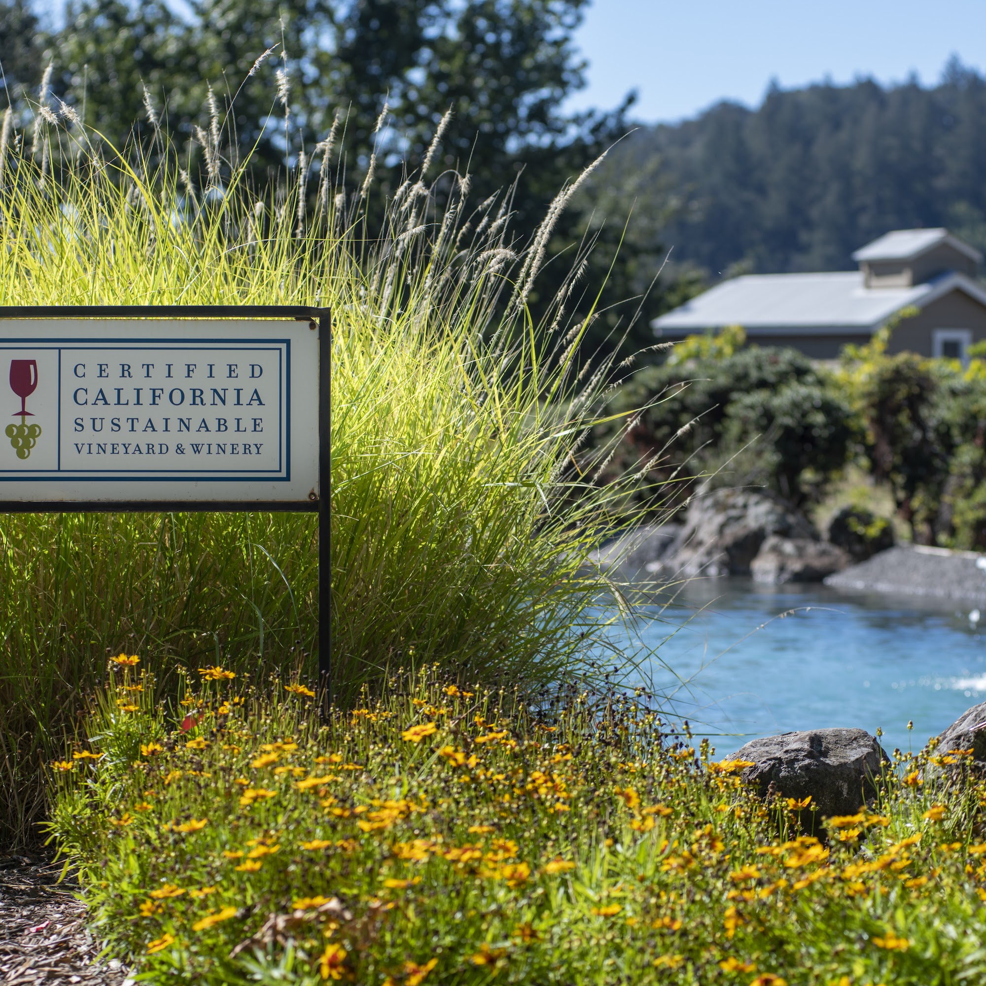 Kunde Family Winery Kenwood