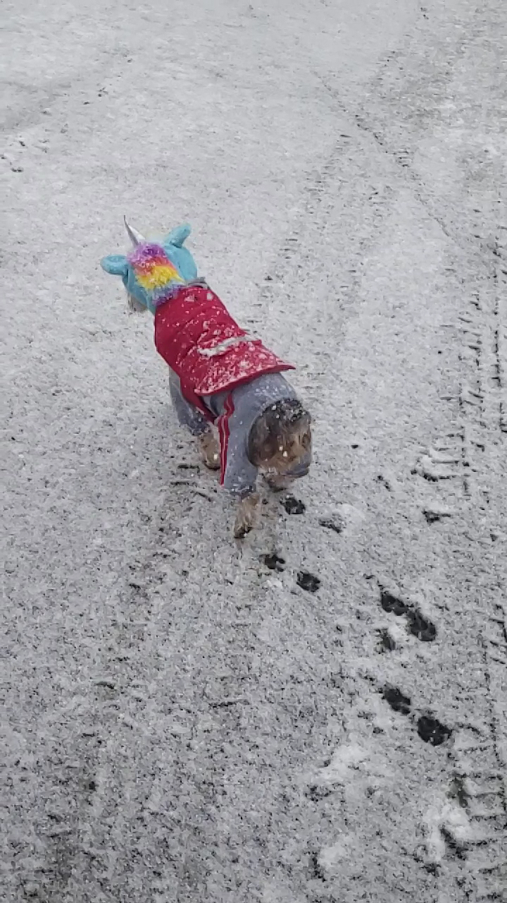 La Mexicana Meat Market & Taqueria Kings Beach