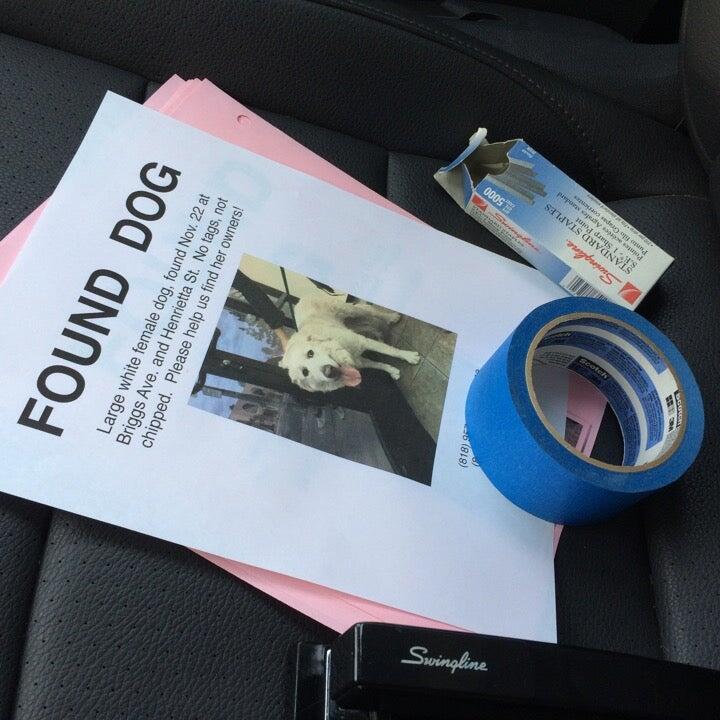 La Cañada Pet Clinic La Cañada Flintridge