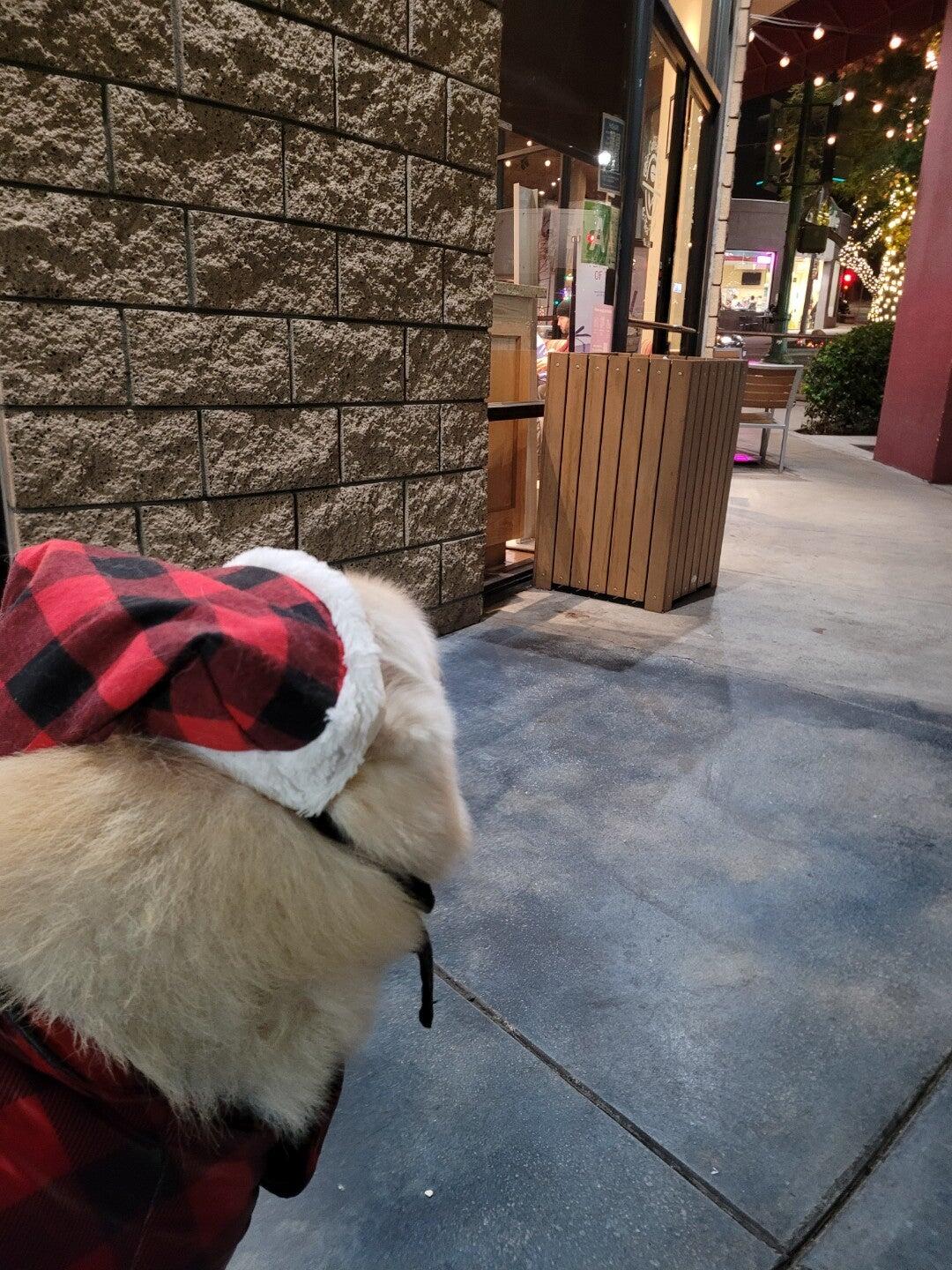 Photo credit: nextdoor