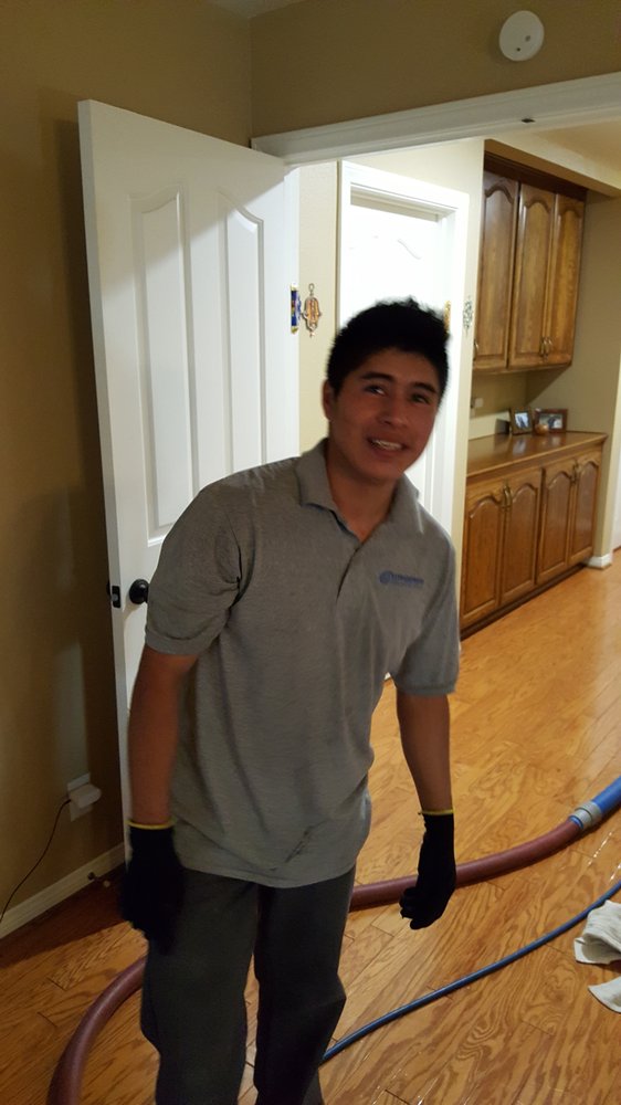 Citrus Fresh Carpet Cleaning