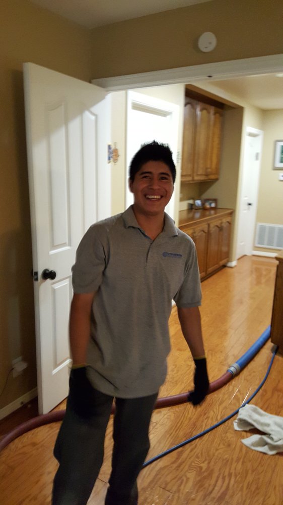 Citrus Fresh Carpet Cleaning