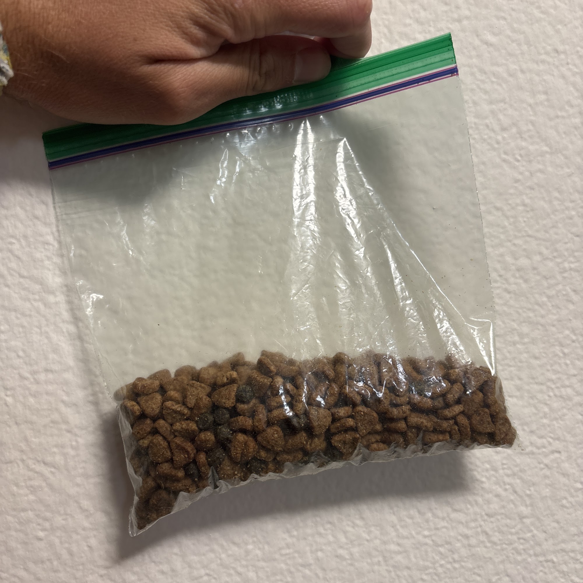 PetSmart Doggie Day Camp La Jolla