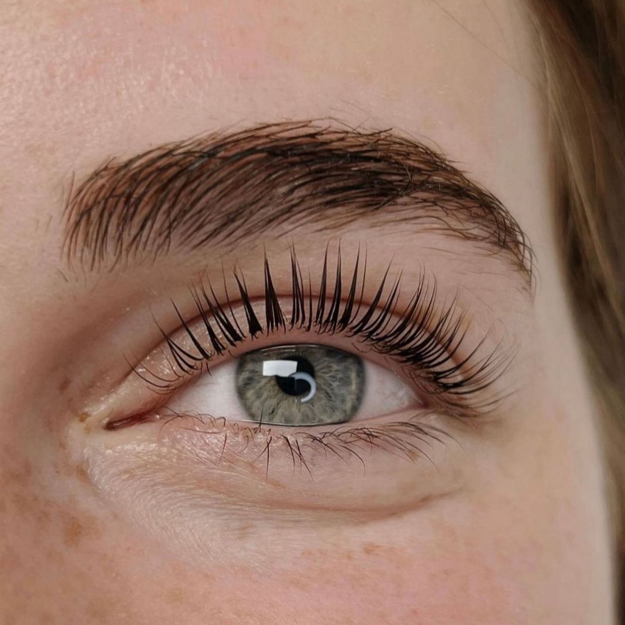 San Diego Lashes - La Jolla