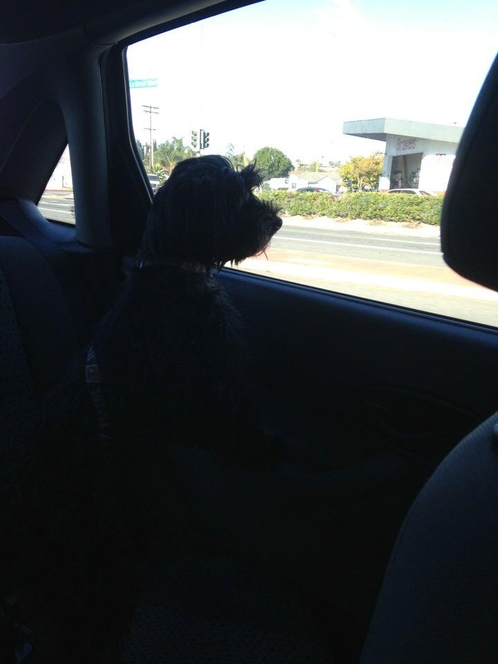 Tami's Tender Touch La Mesa