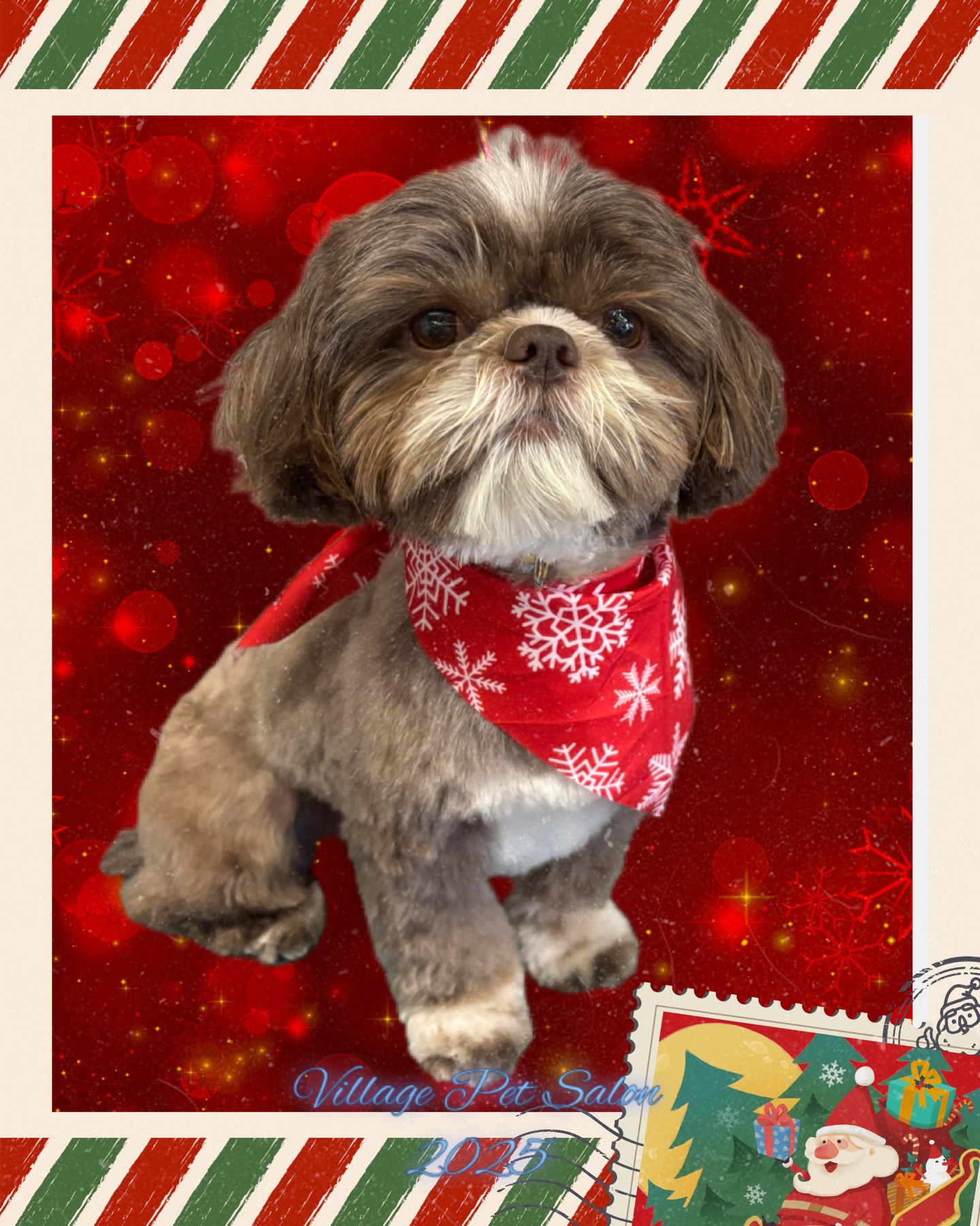 Village Pet Salon La Mesa