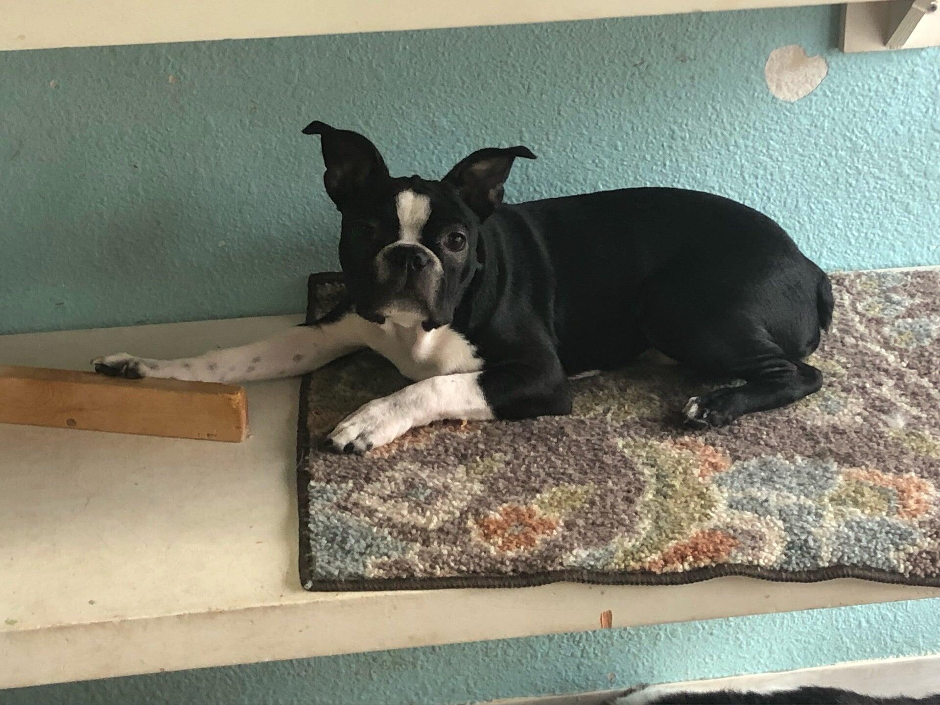 Photo credit: nextdoor