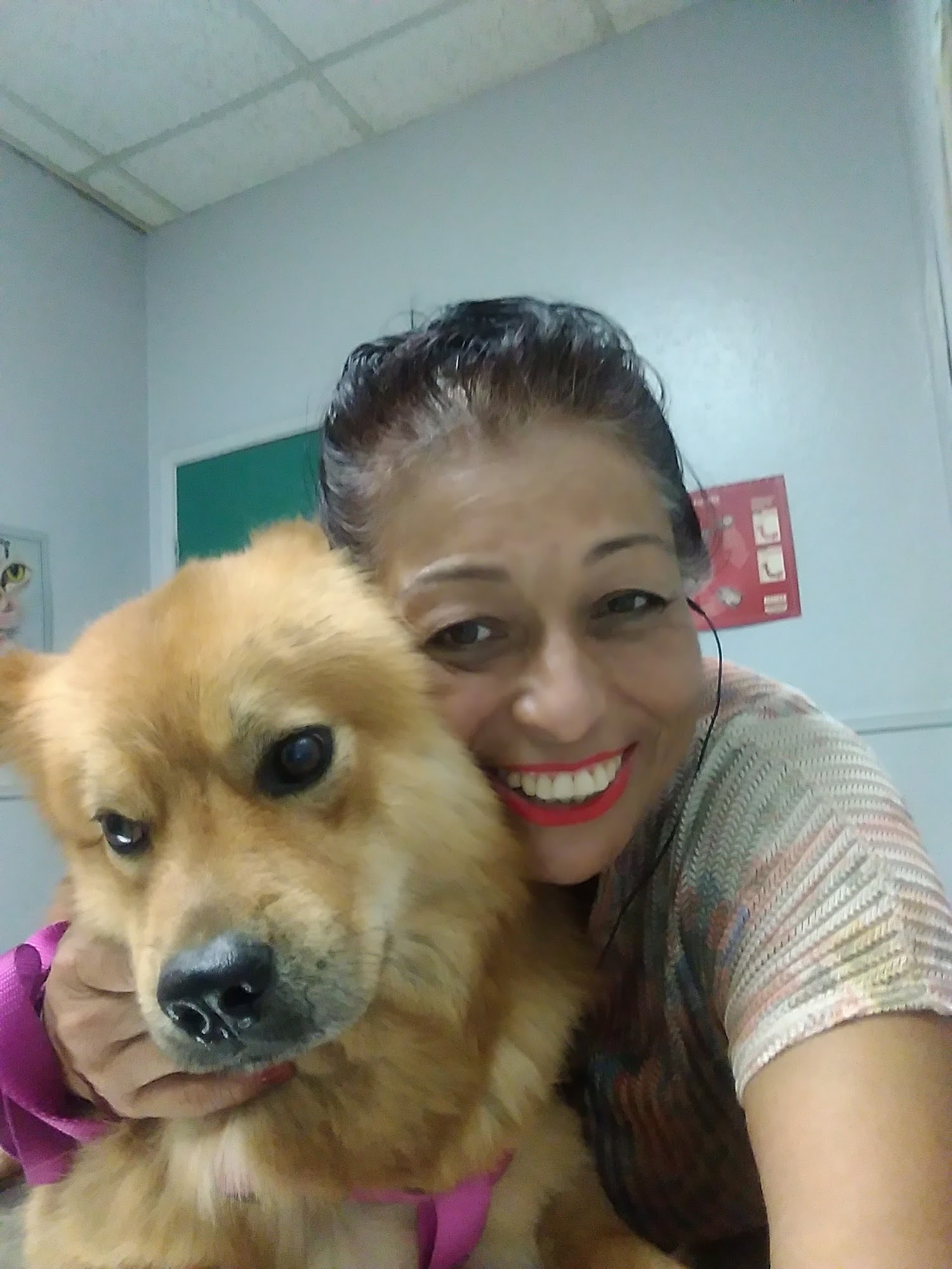 La Mirada Animal Health Center La Mirada