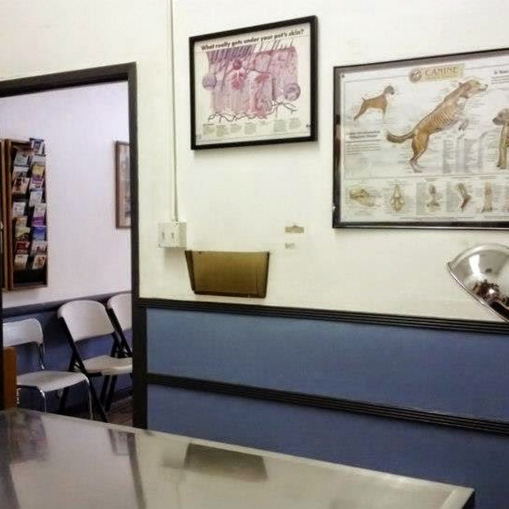 Animal Clinic of La Mirada La Mirada