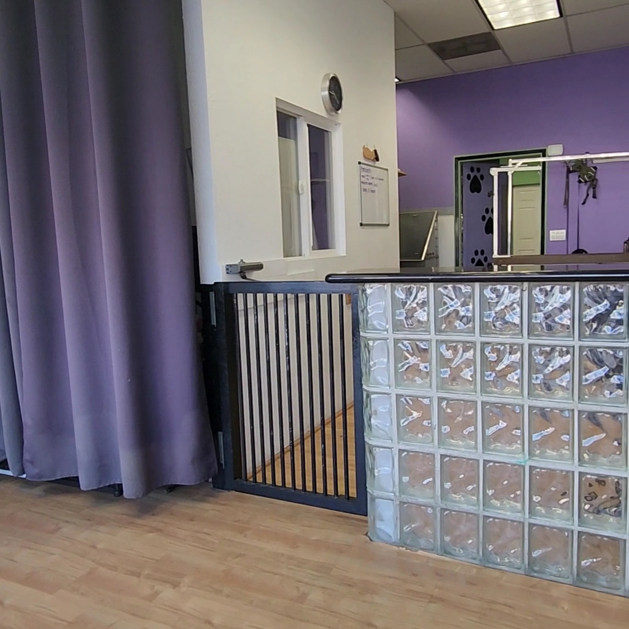 My Dog Spot La Mirada