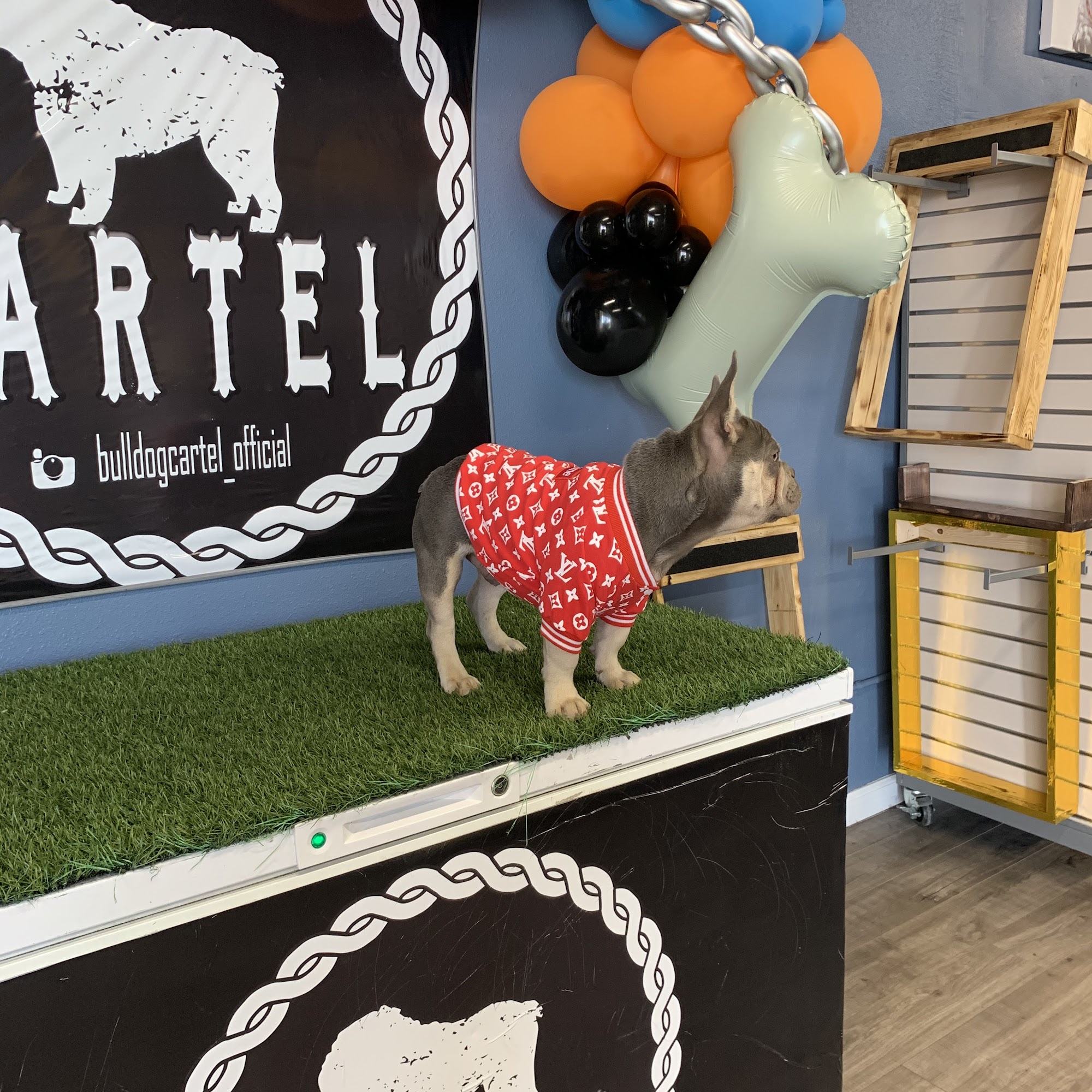 Top Dog Pet Store La Mirada