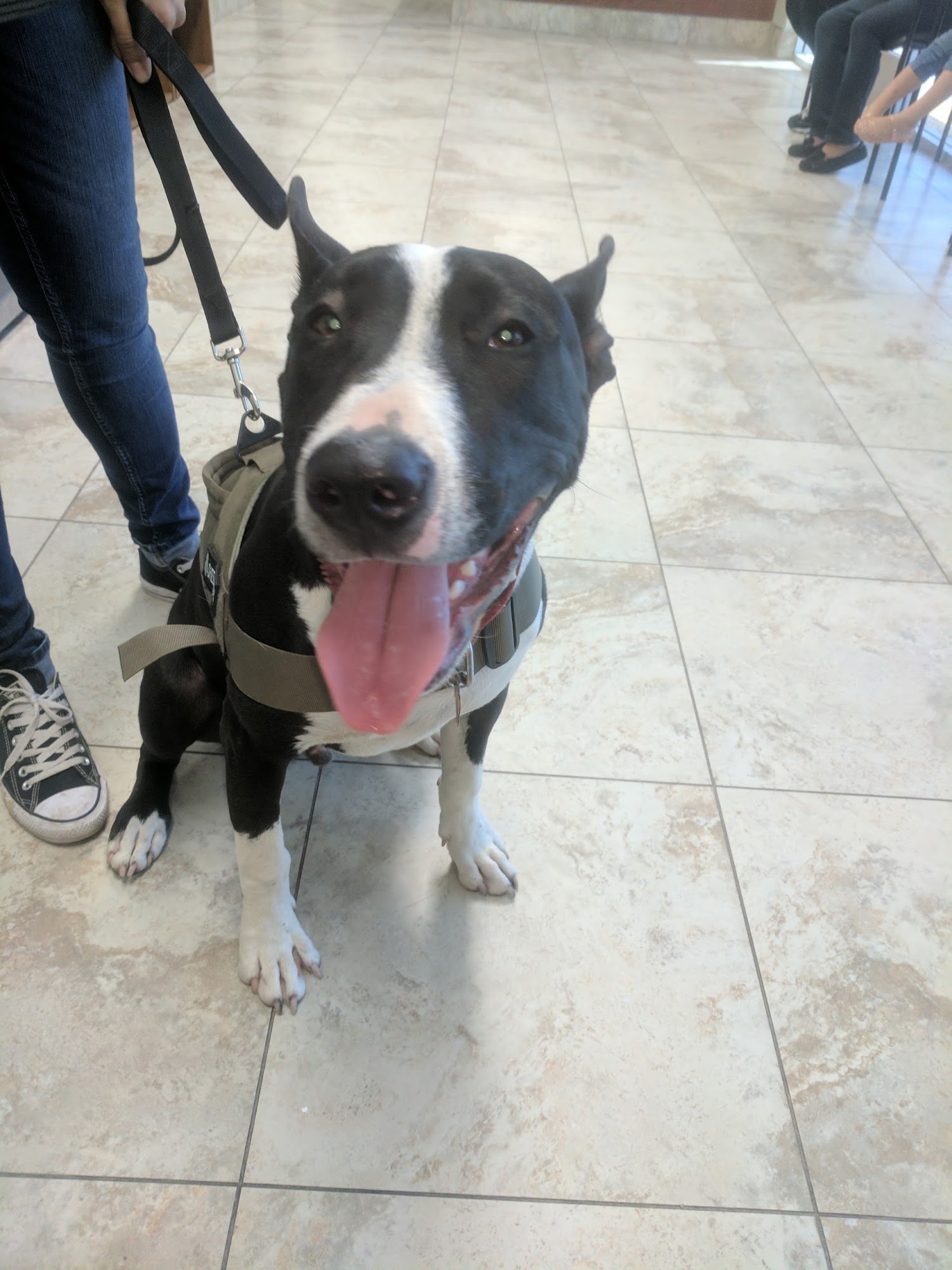 Amar Glen Veterinary Hospital La Puente