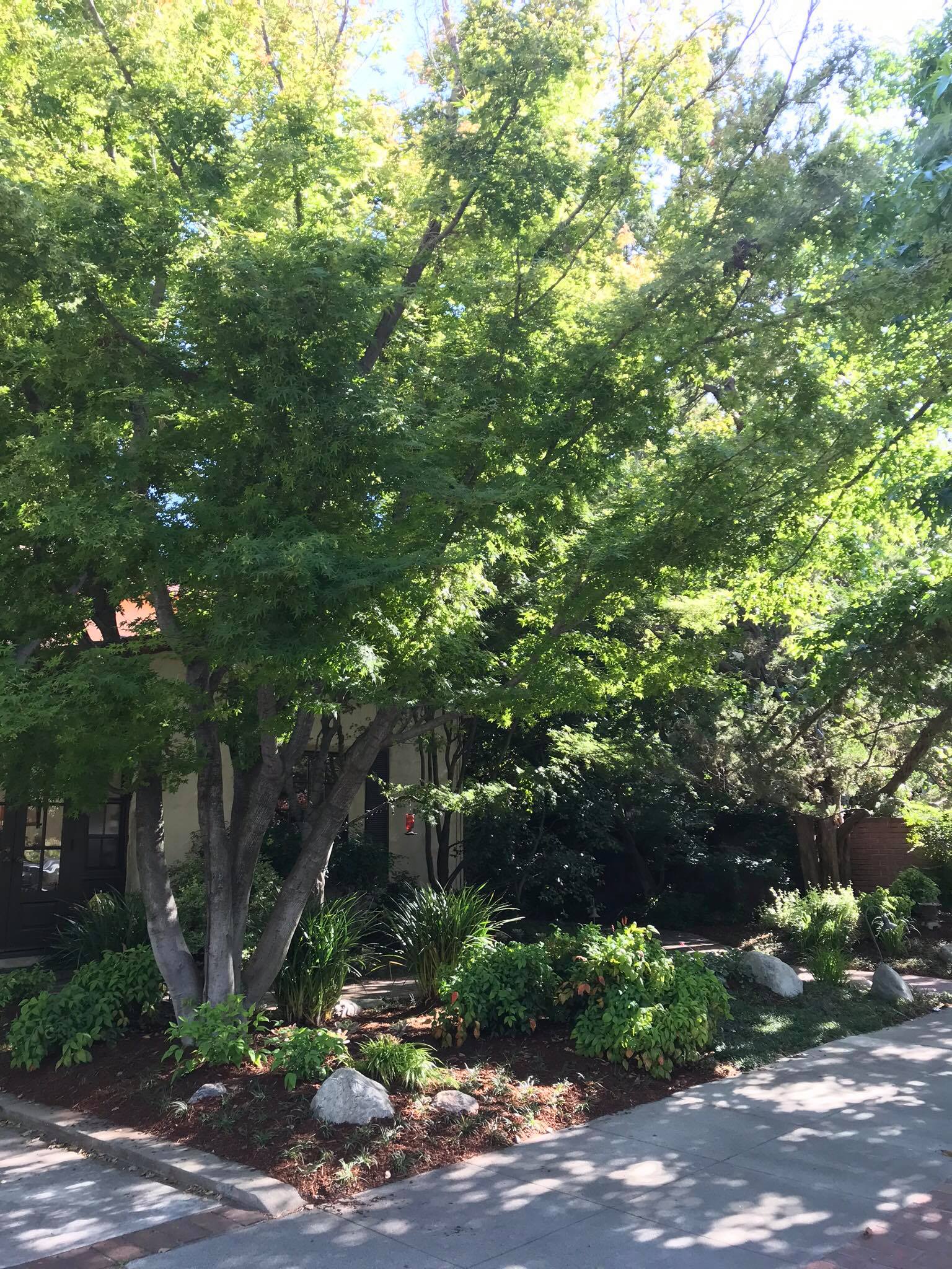 Alpine Landscape Services