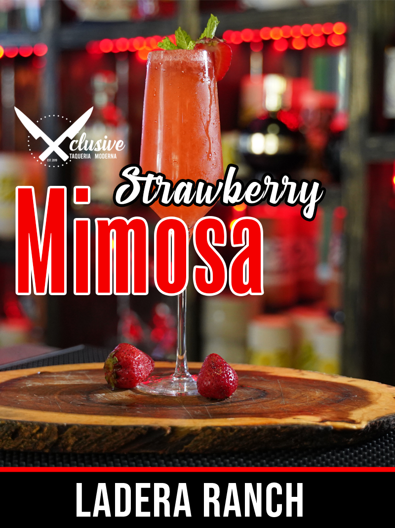 Xclusive Taqueria Moderna Ladera Ranch