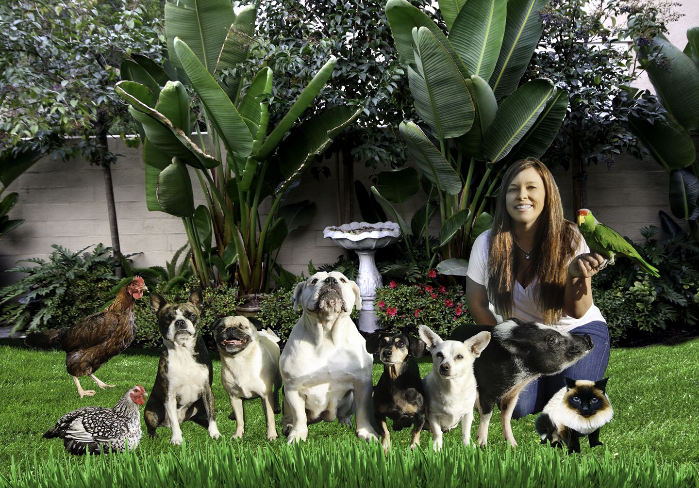 Ladera Ranch Grooming & Pet Spa Ladera Ranch