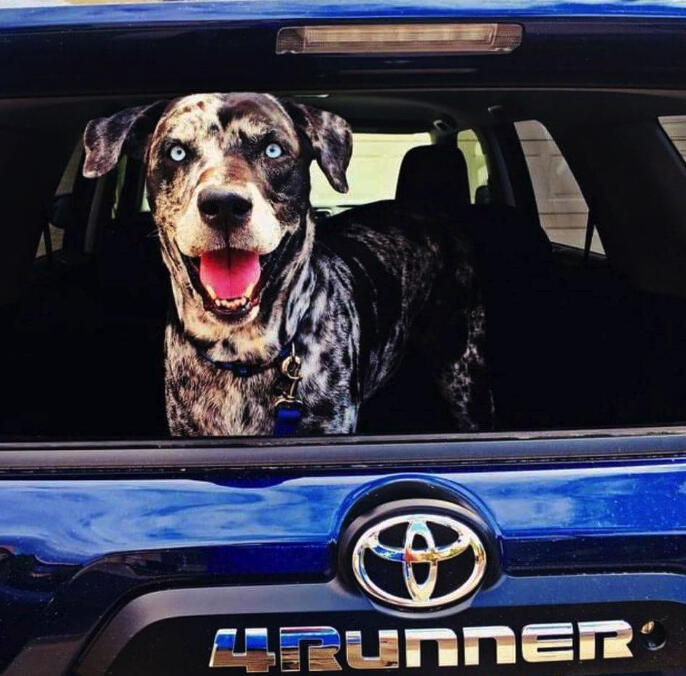 Photo credit: nextdoor