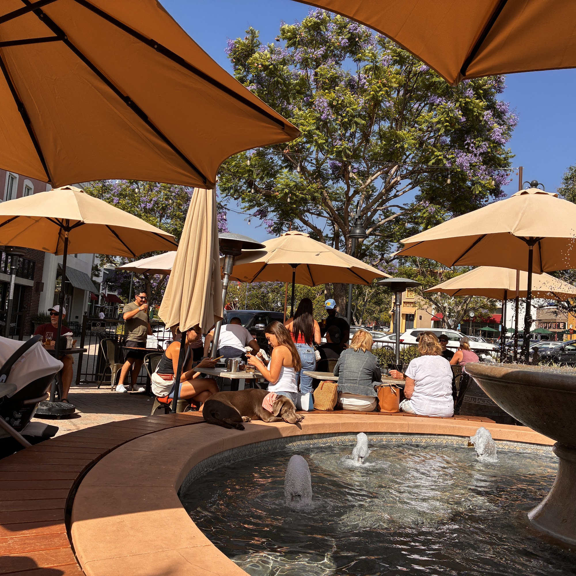 Ten Mile Brewing - Ladera Ranch Ladera Ranch