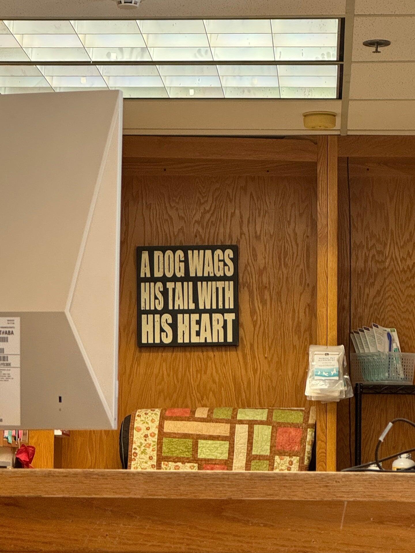 Lafayette Animal Hospital Lafayette