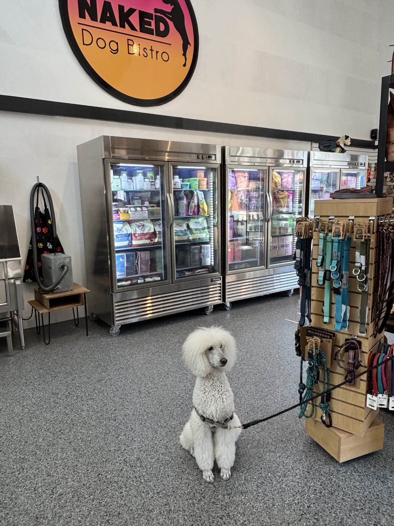 Naked Dog Bistro Laguna Beach