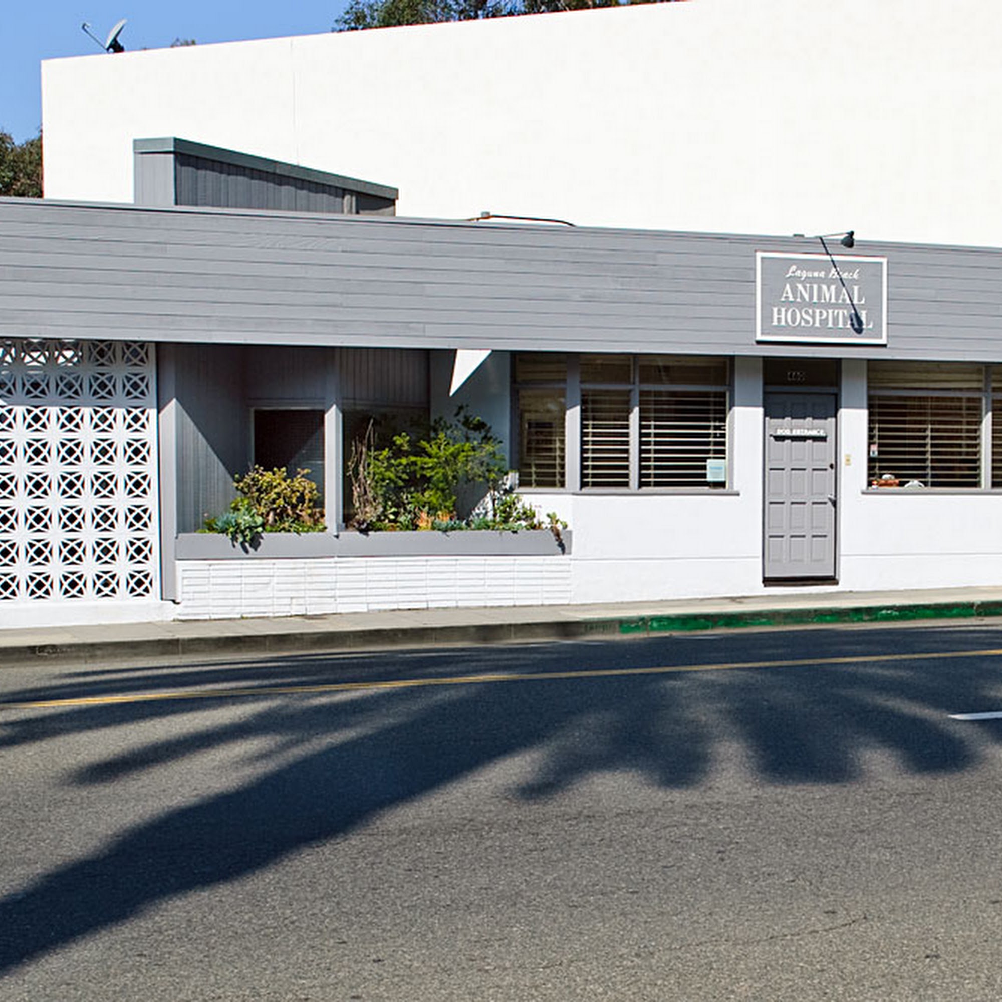 Laguna Beach Animal Hospital, A Thrive Pet Healthcare Partner Laguna Beach