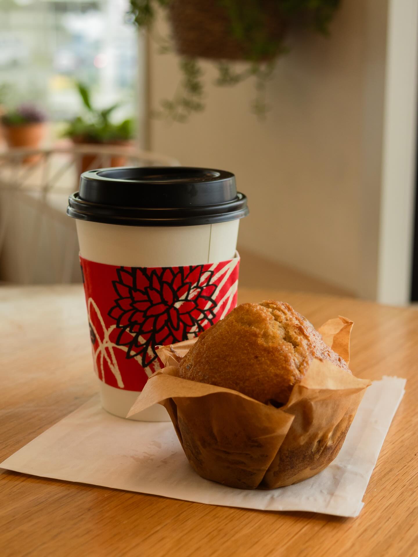 Succulent Coffee Roasters Laguna Beach