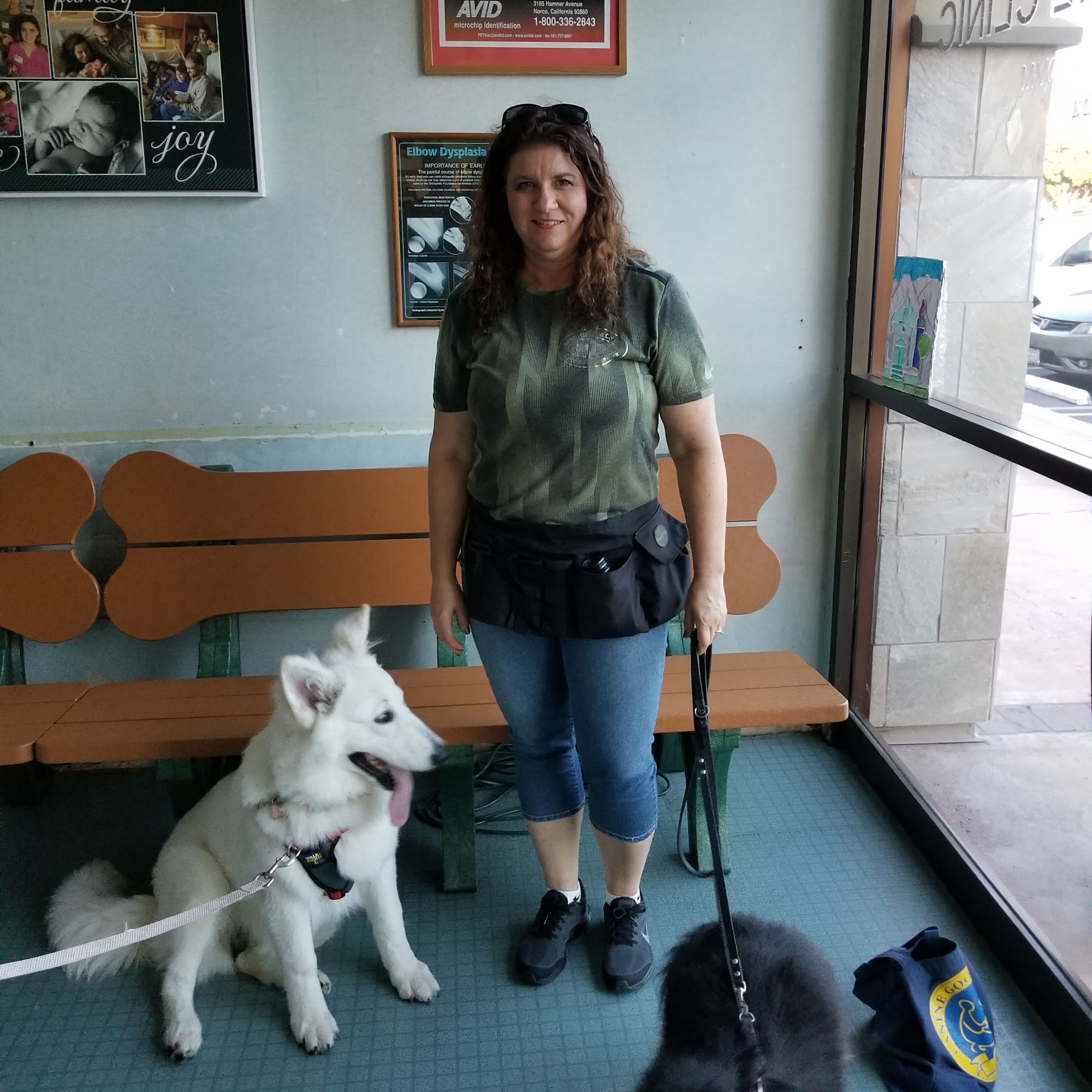 La Paz Animal Clinic Laguna Hills