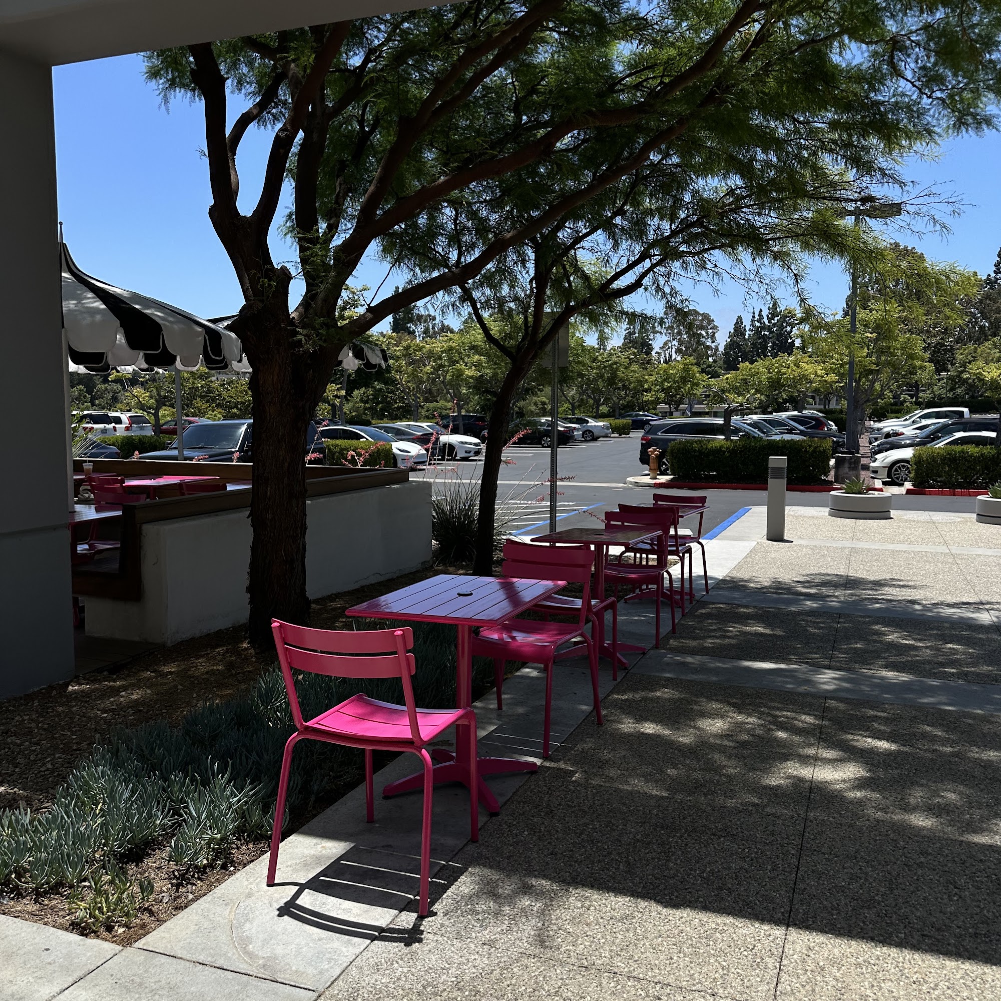 Coffee Dose Clubhouse Laguna Hills