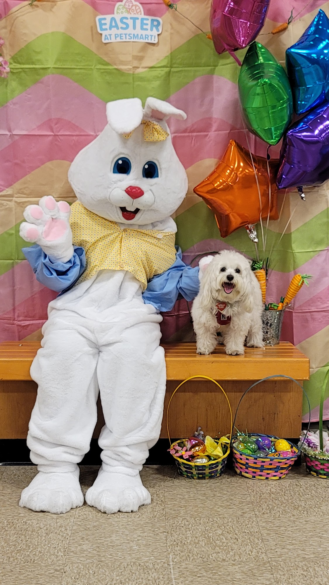 PetSmart Lake Elsinore