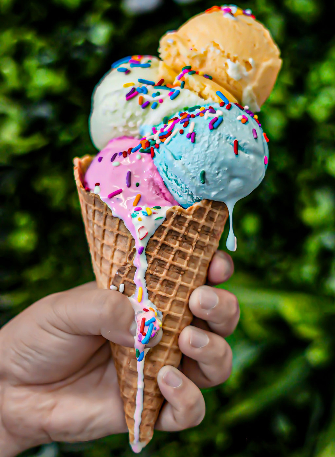 La Flor De Cotija Lake Elsinore
