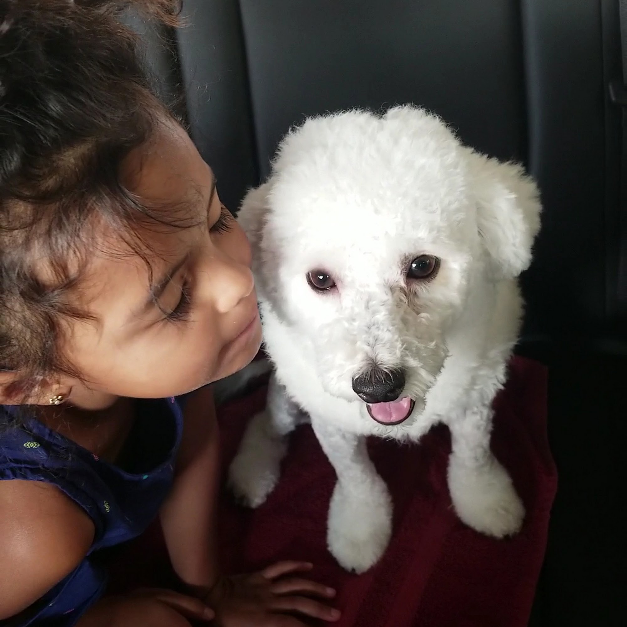 Paws Appeal Grooming and Doggy Day Care Lake Elsinore