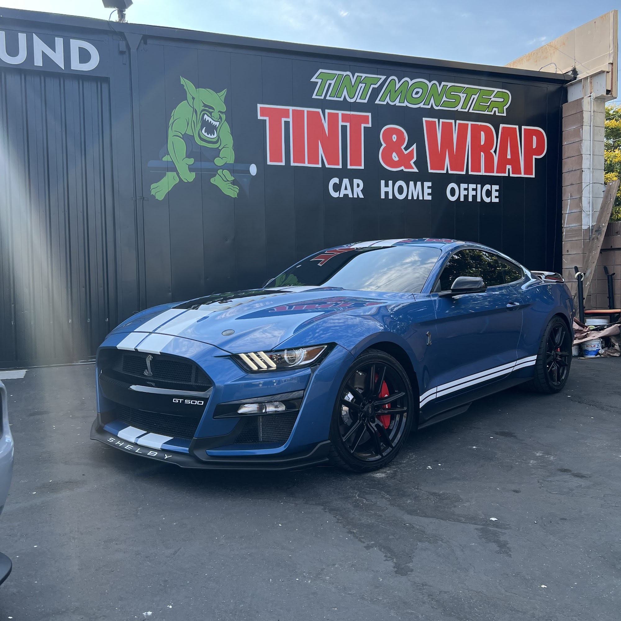 Tint Monsters Lake Elsinore Lake Elsinore