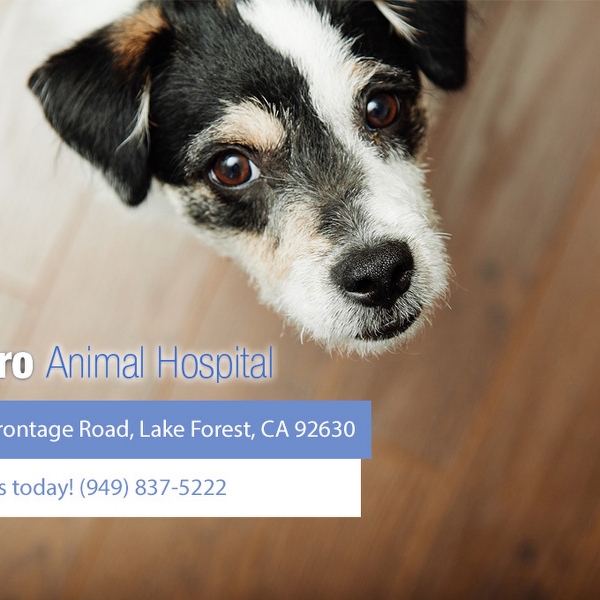 El Toro Animal Hospital Lake Forest