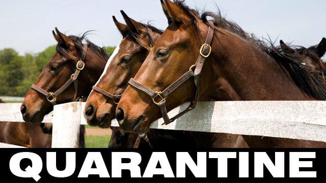 Equine Medical Associates Inc Lake Forest