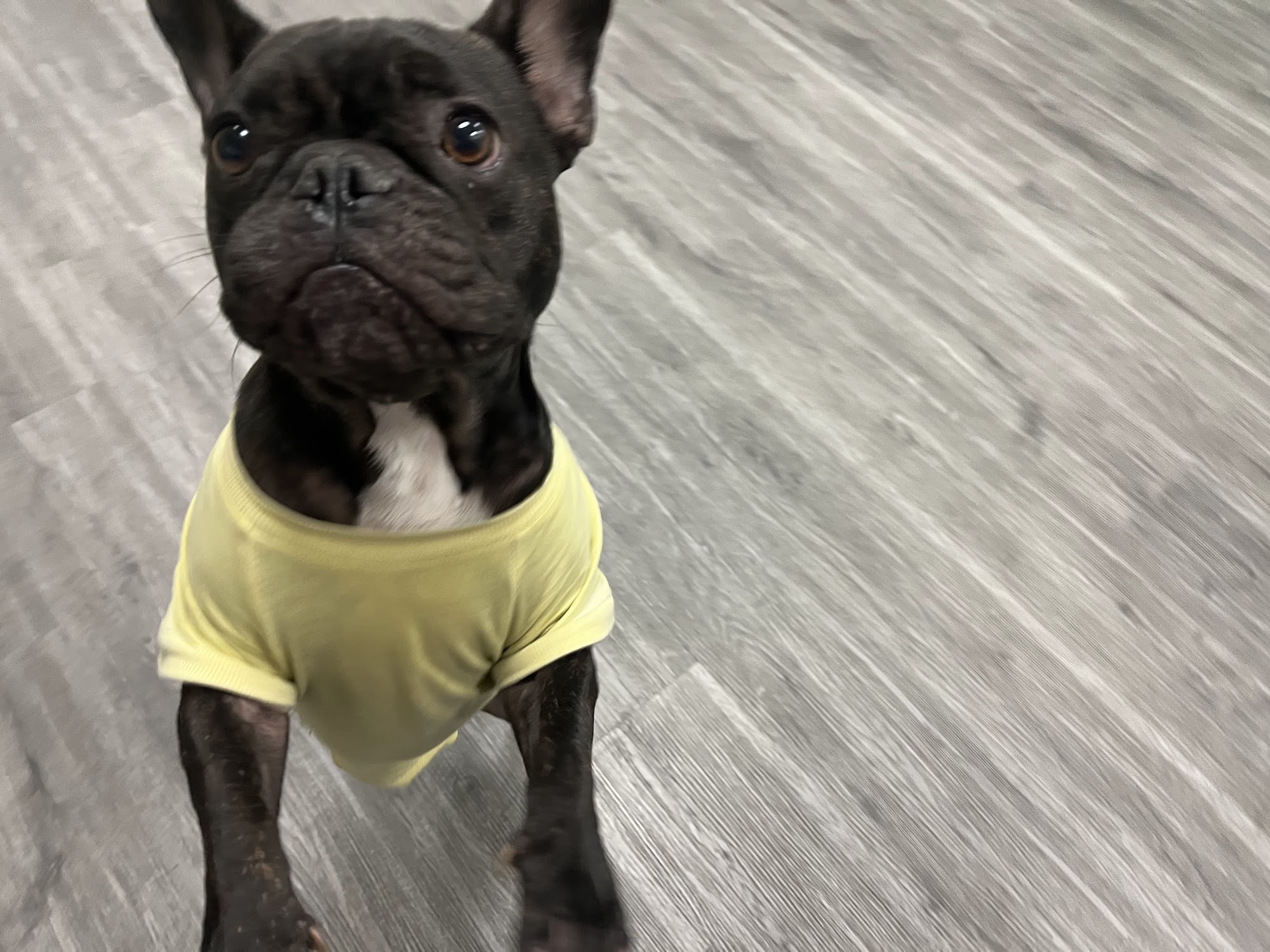 UC Barkley Lake Forest