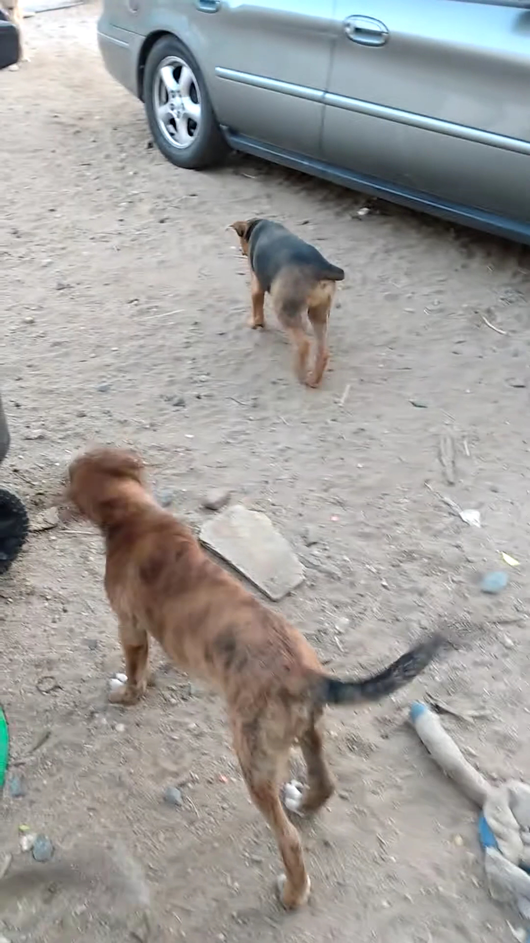 Kern River Feed & Hay Lake Isabella