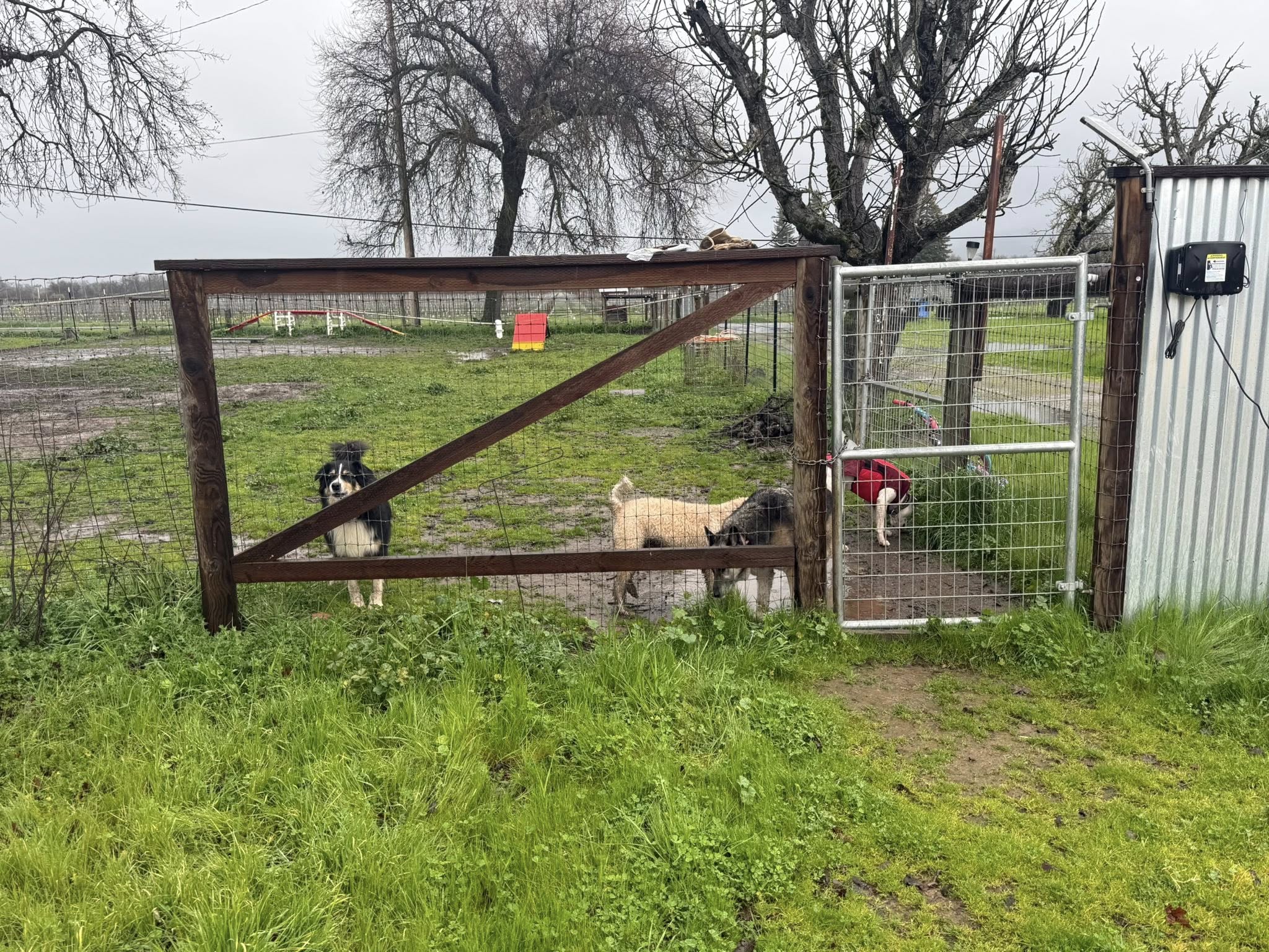 Send Rover on Over (Lakeport Pet Resort) Lakeport