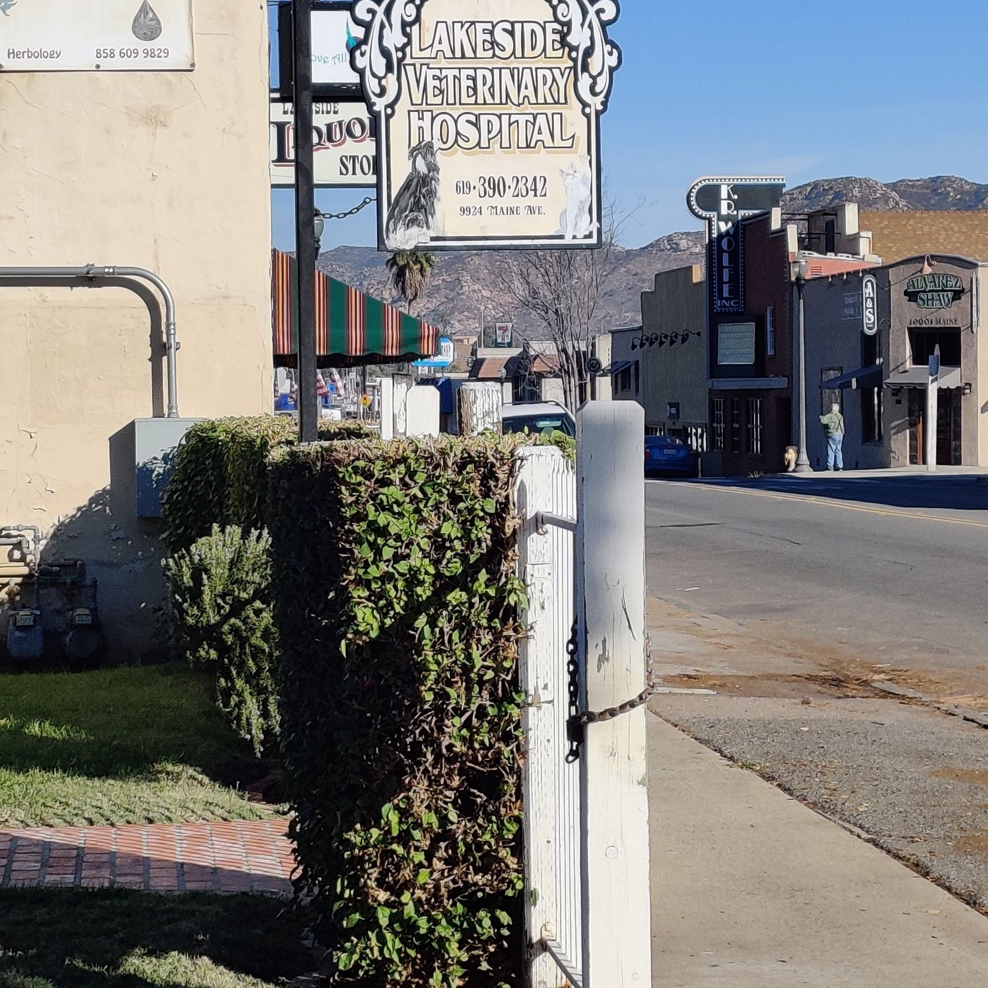 Lakeside Veterinary Hospital Lakeside