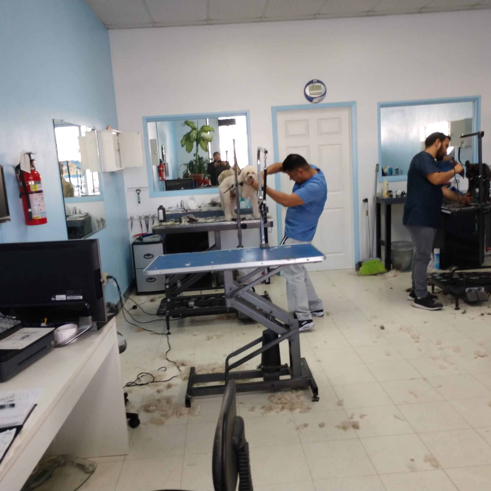 Wag Your Tail Lakewood