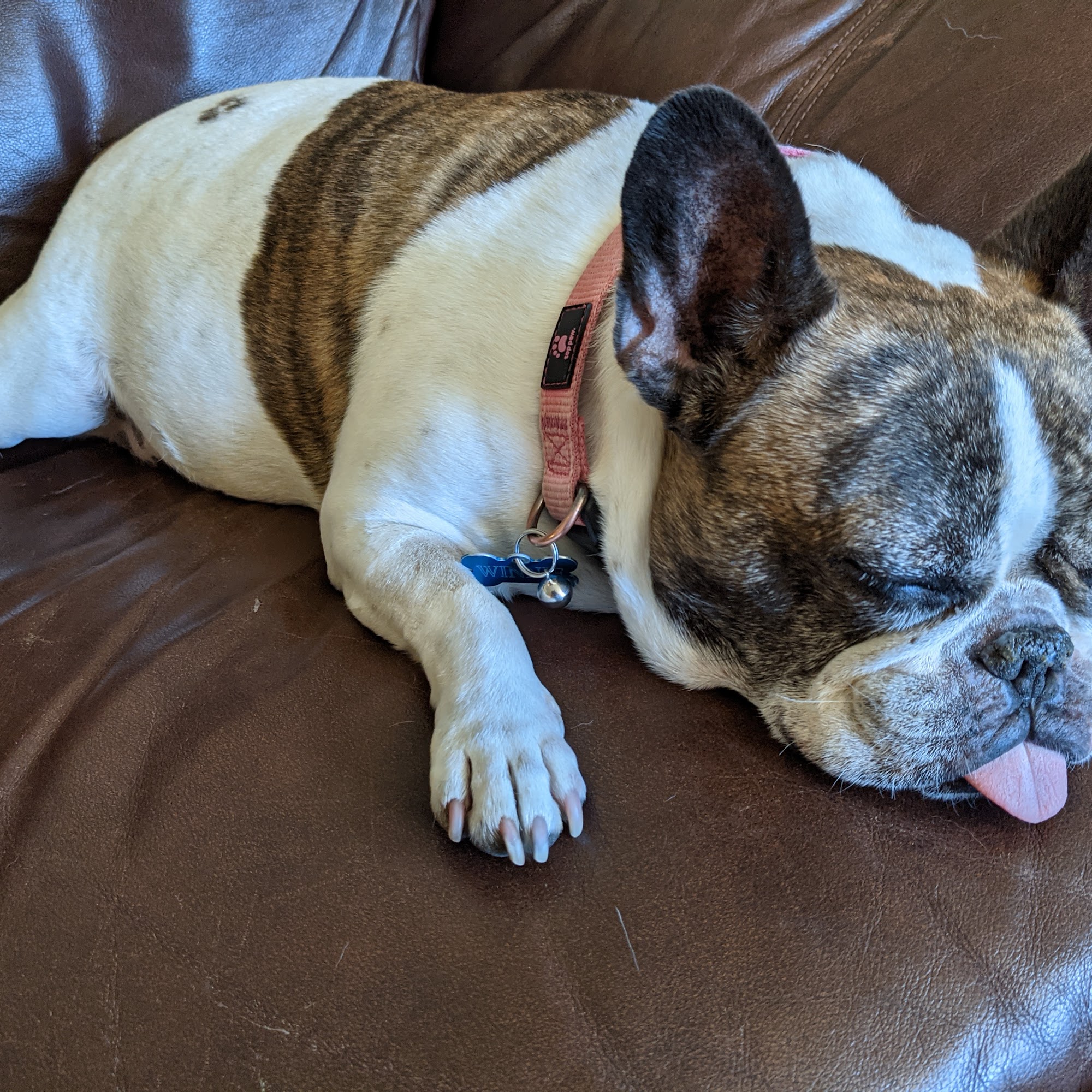 AV Veterinary Center Lancaster