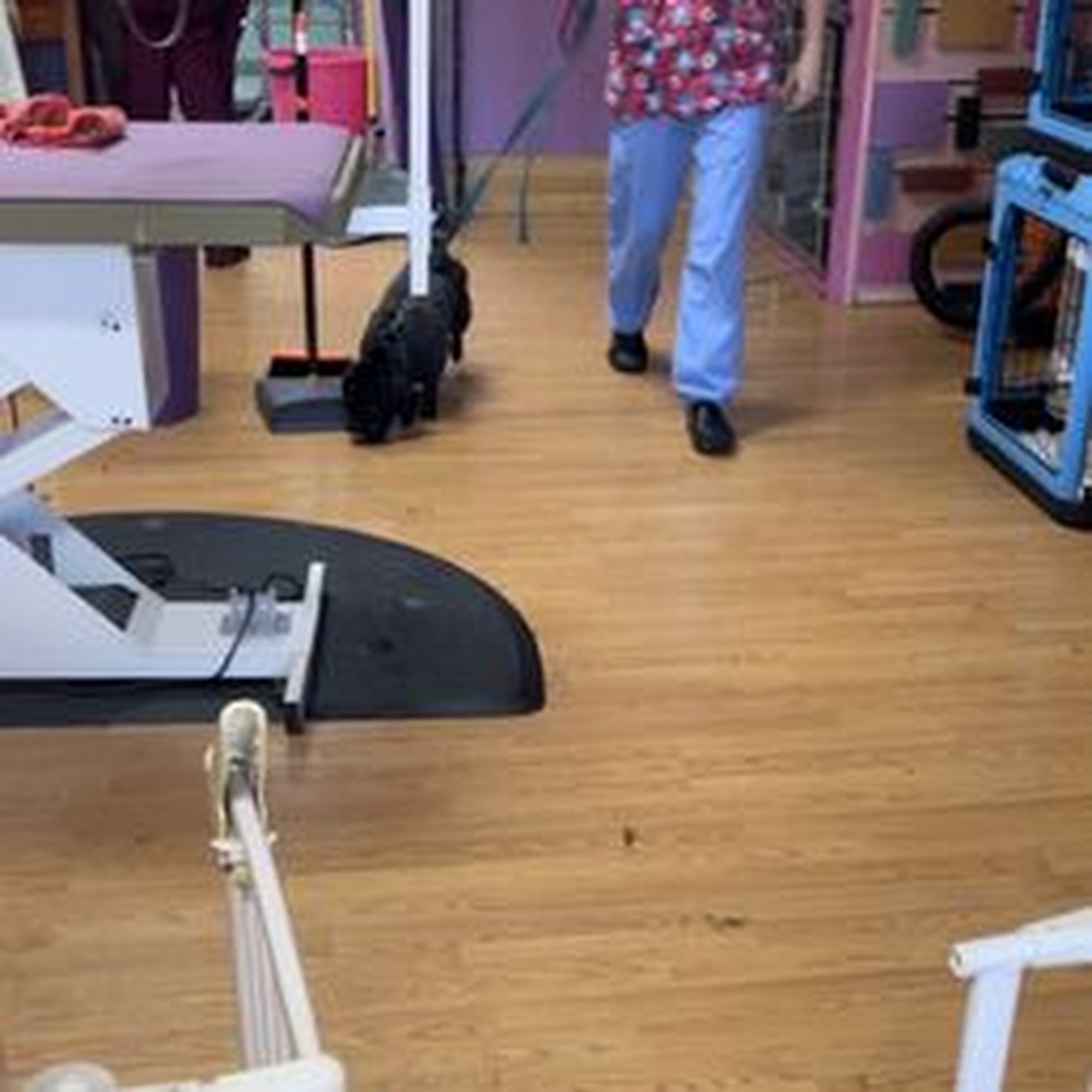 Happy Tails By Sandra Lancaster