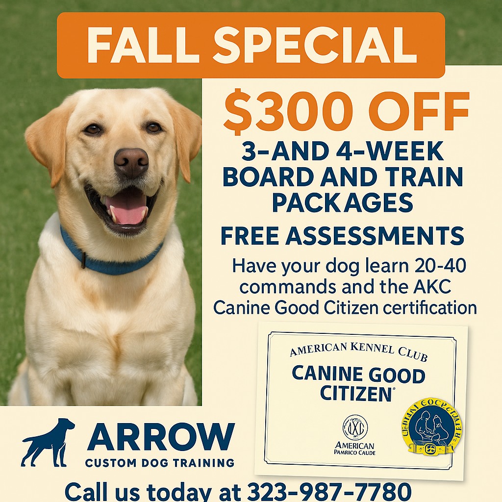 Arrow Custom Dog Training & Services Lancaster