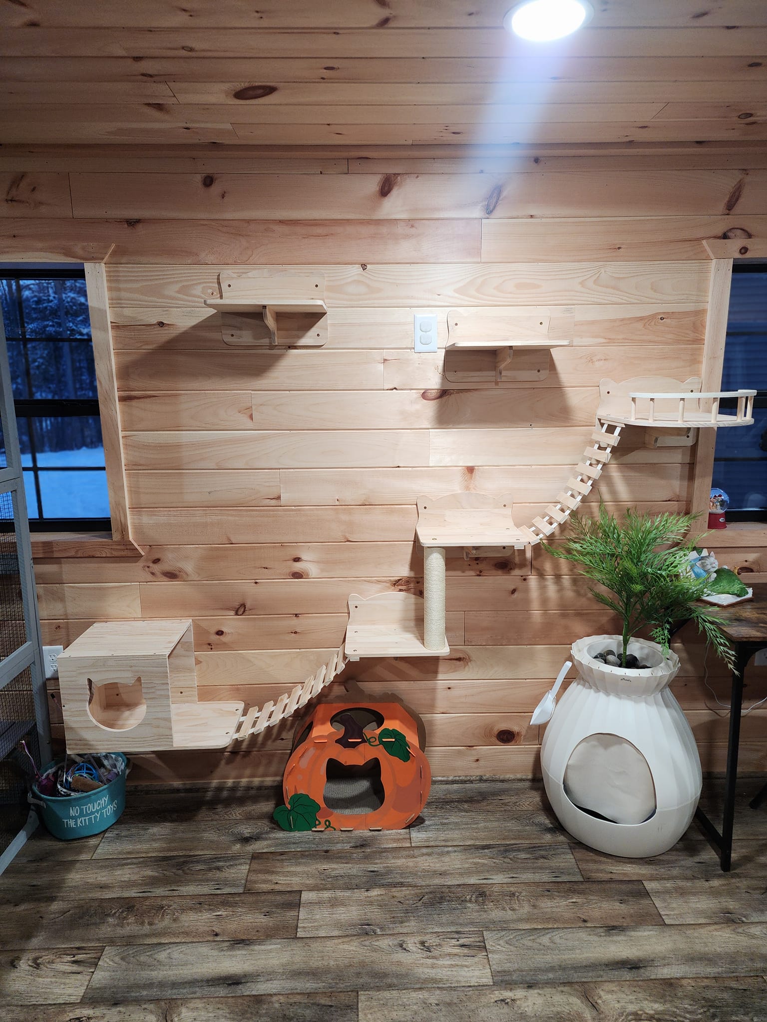 The Cat Shack - Luxury Cat Boarding Lancaster