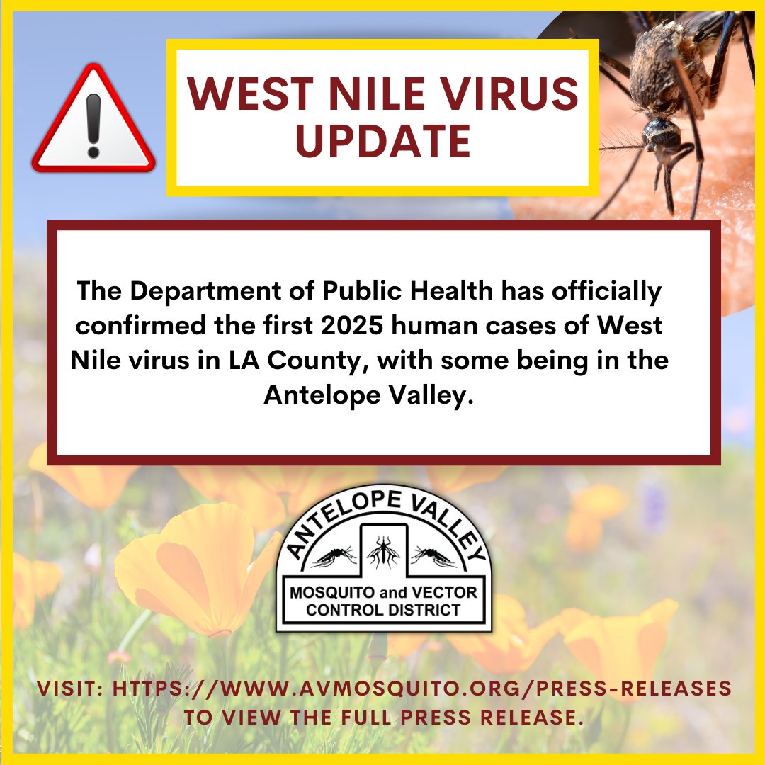 Antelope Valley Mosquito