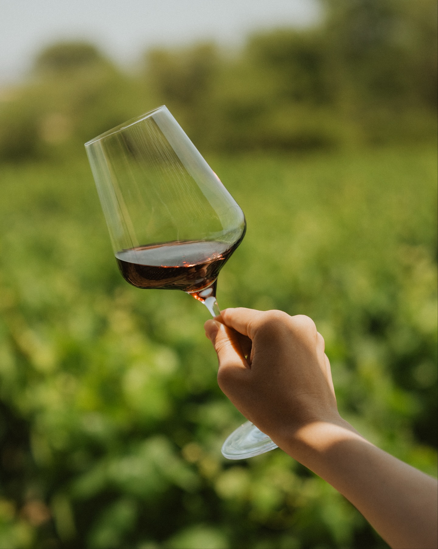 O'Neill Vintners & Distillers