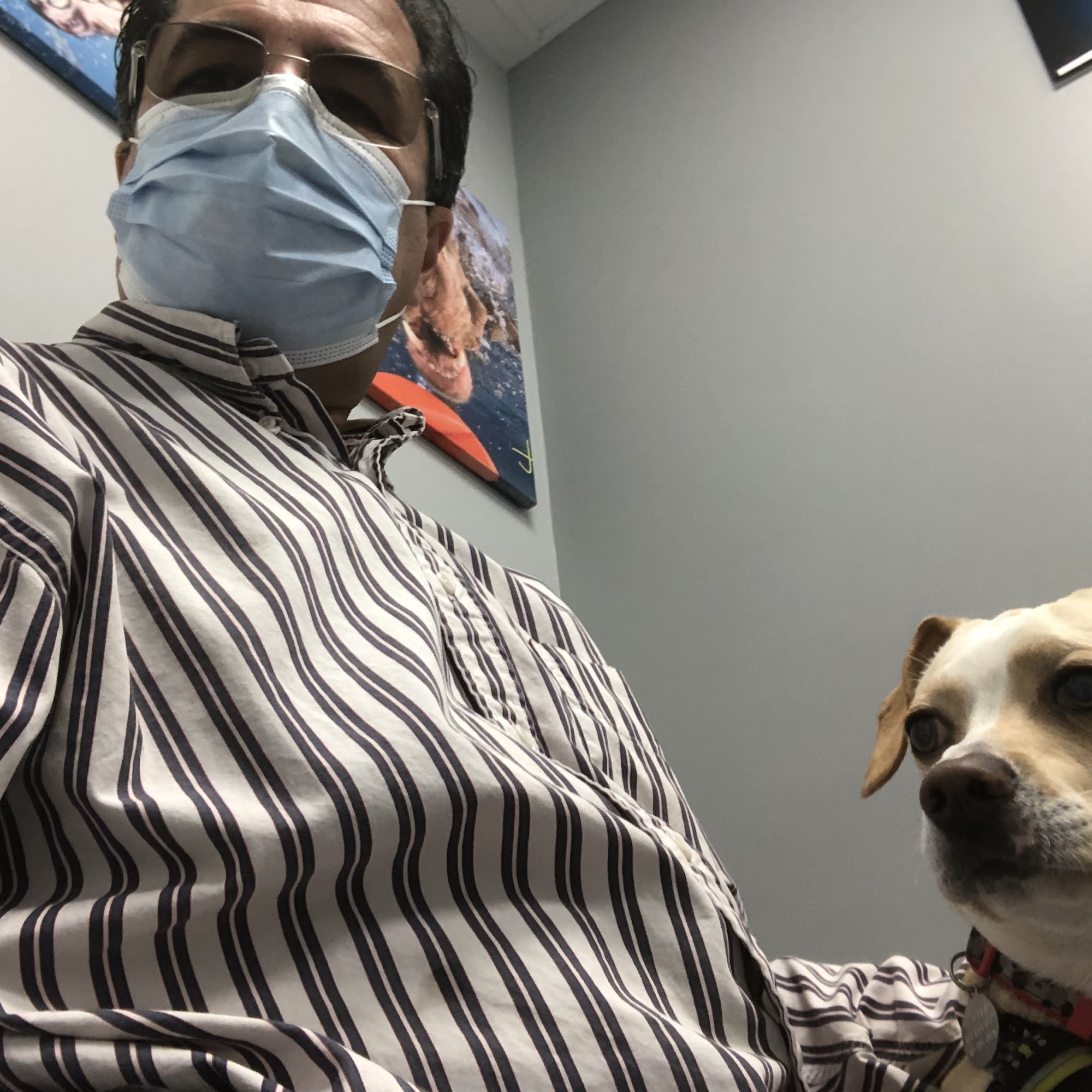 Lawndale Pet Hospital: Paul Lynch DVM Lawndale