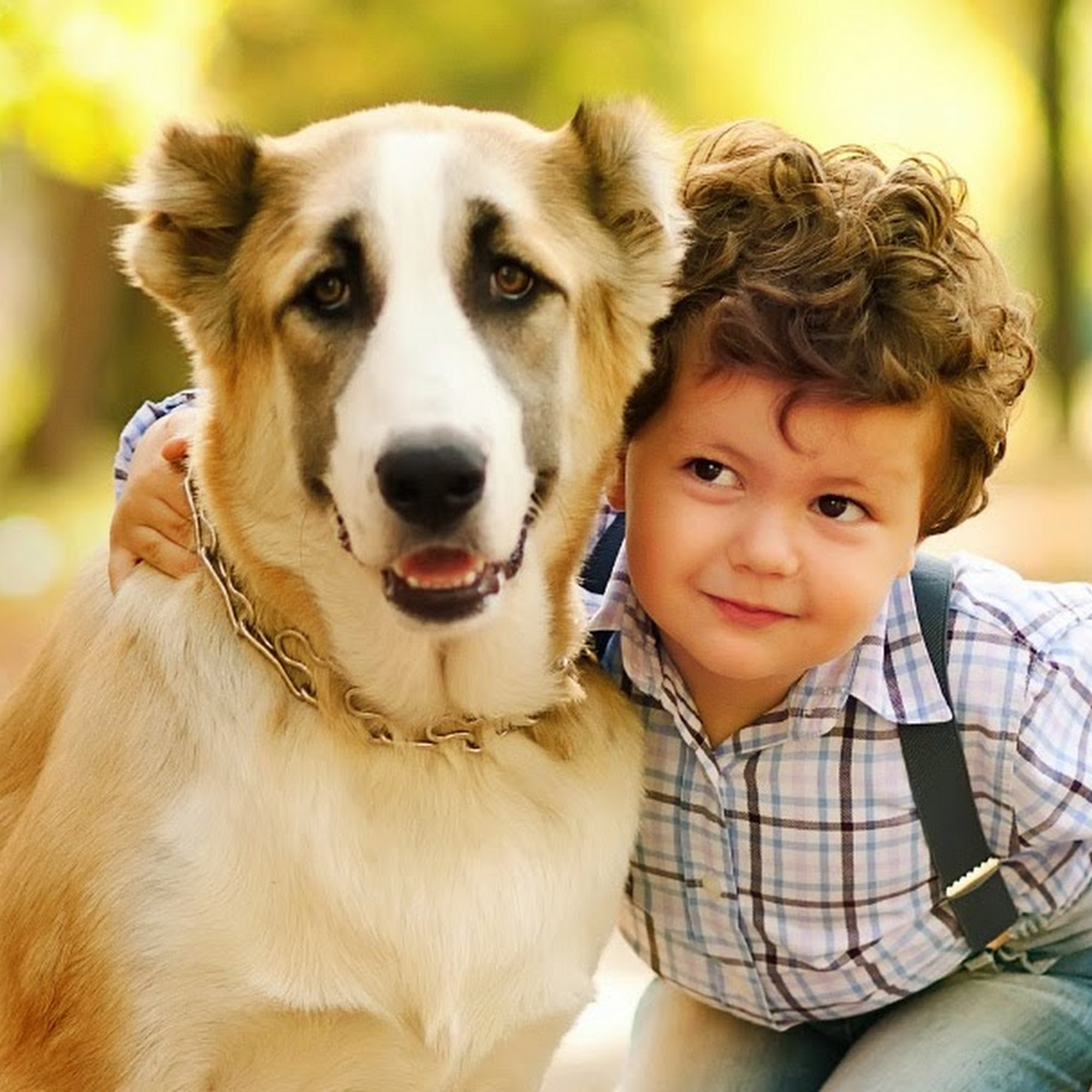 Hawthorne Dog & Cat Hospital Lawndale