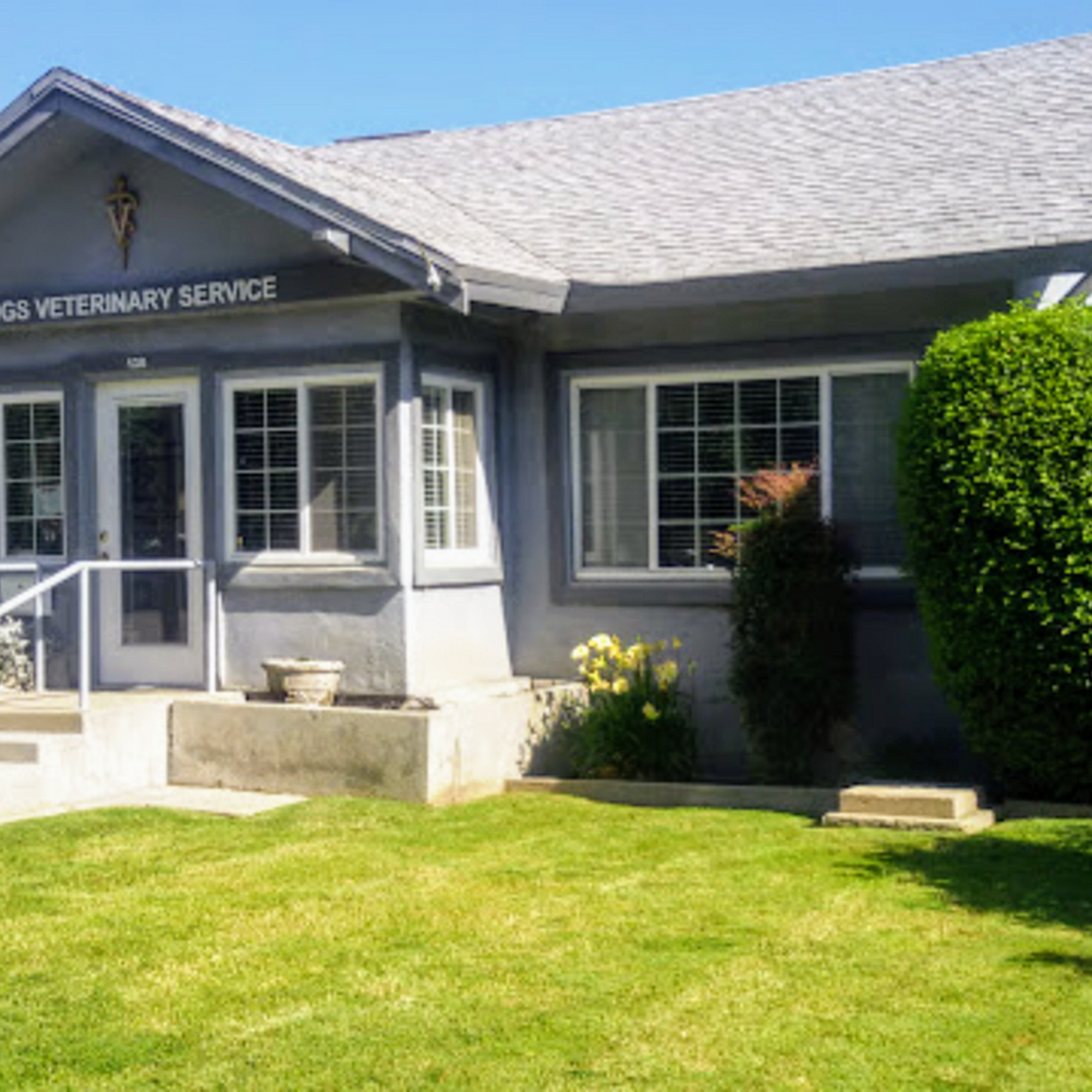 Kings Veterinary Services Lemoore