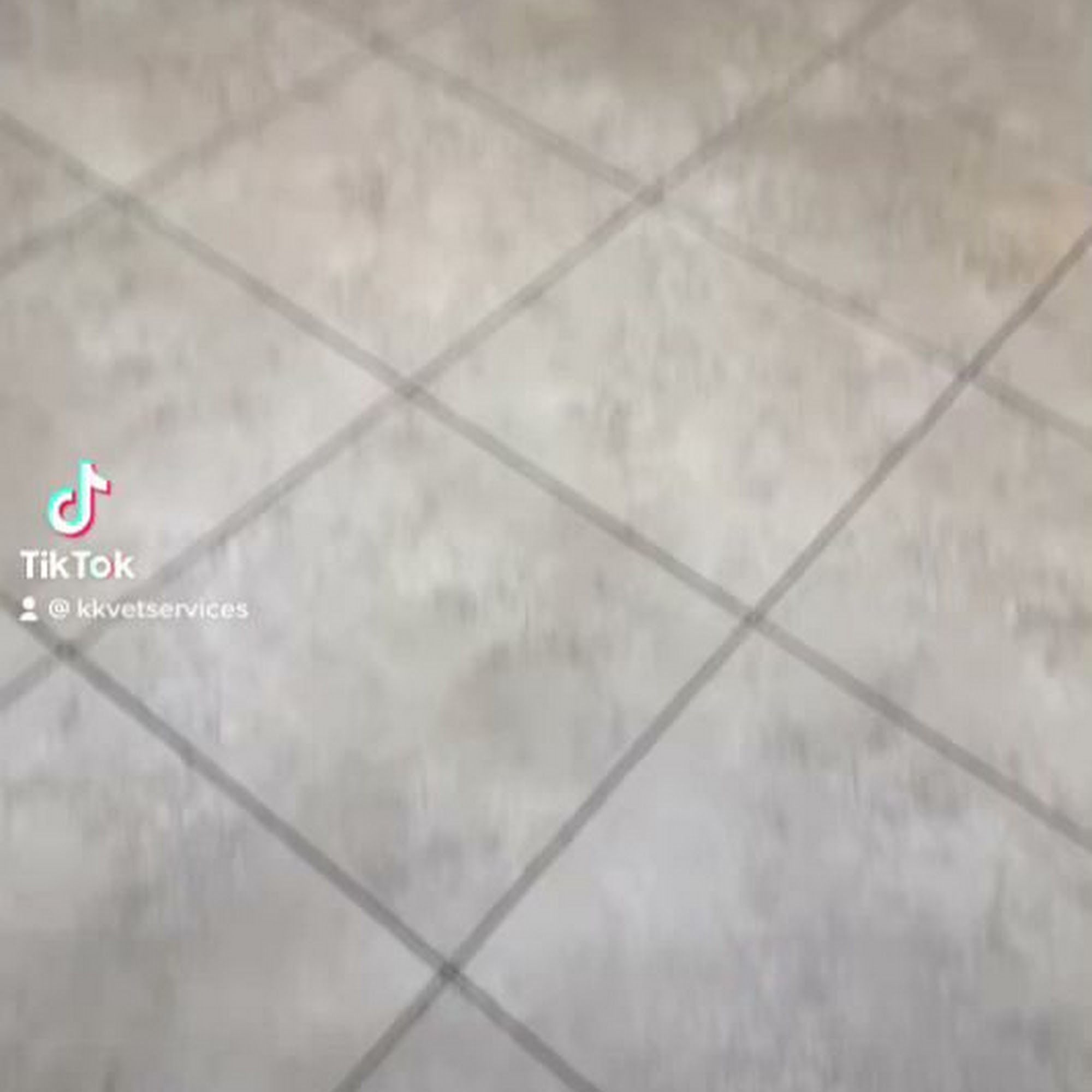 Karing for Kreatures Veterinary Hospital “K+K” Lemoore